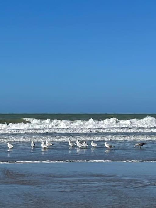 Charmante Maison Individuelle Proche Du Touquet Кюк Экстерьер фото